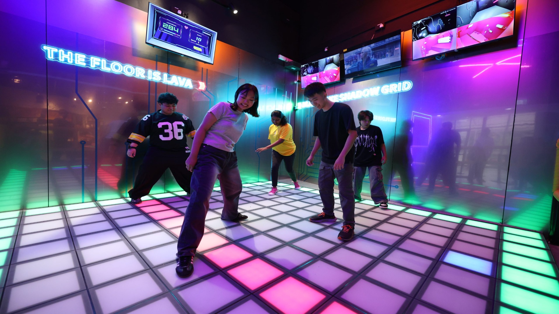 Singapore Discovery Centre - Black Lake Shadow Grid